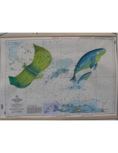 Carte de Navigation De l'Hermione "La Baleine et la Raie... 2