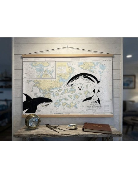 Carte de Navigation De l'Hermione "Les requins en Amériques""