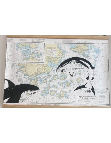 Carte de Navigation De l'Hermione "Les requins...