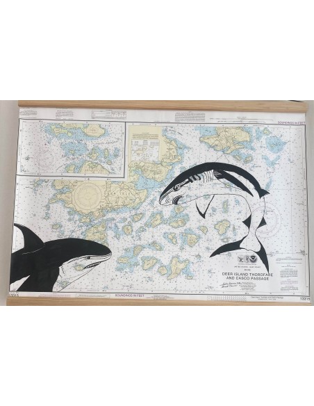 Carte de Navigation De l'Hermione "Les requins en Amériques""