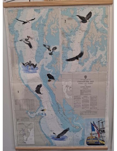 Carte de Navigation De l'Hermione "Les oiseaux"