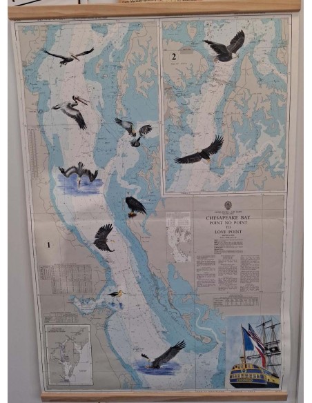 Carte de Navigation De l'Hermione "Les oiseaux"