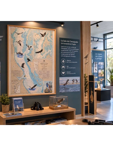 Carte de Navigation De l'Hermione "Les oiseaux"