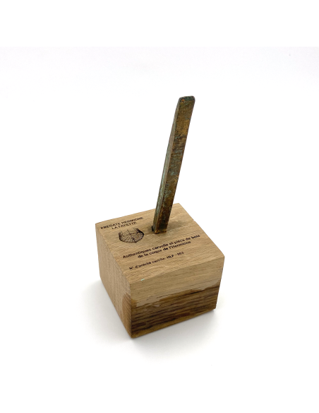 Carvelle avec le bois de l'Hermione